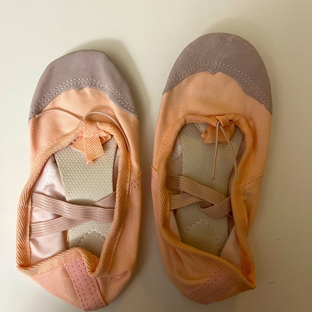 Light pink ballet shoes